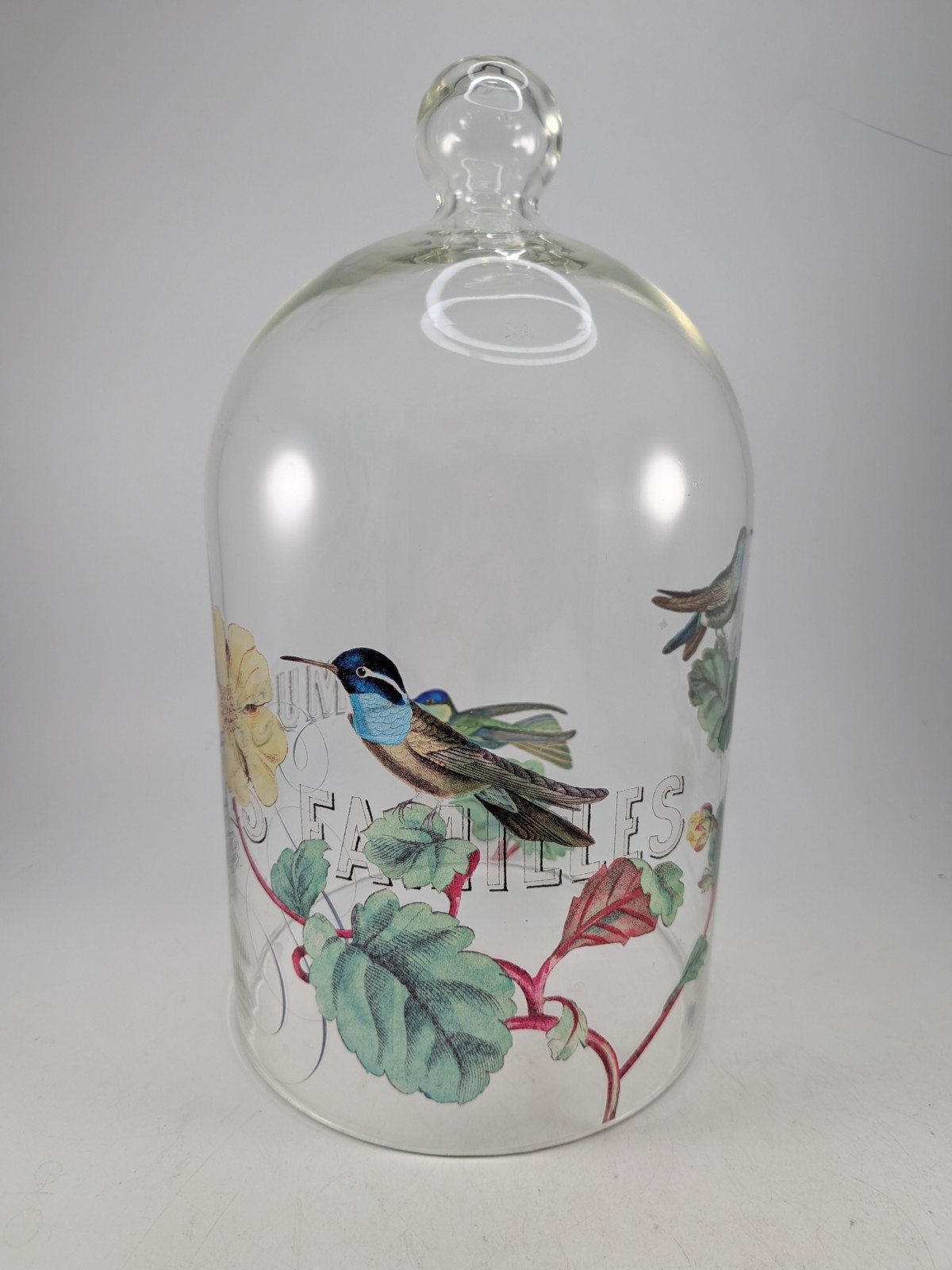 Large Vintage Clear Glass Bell Jar Dome Cloche with Top Knob Hummingbirds 11