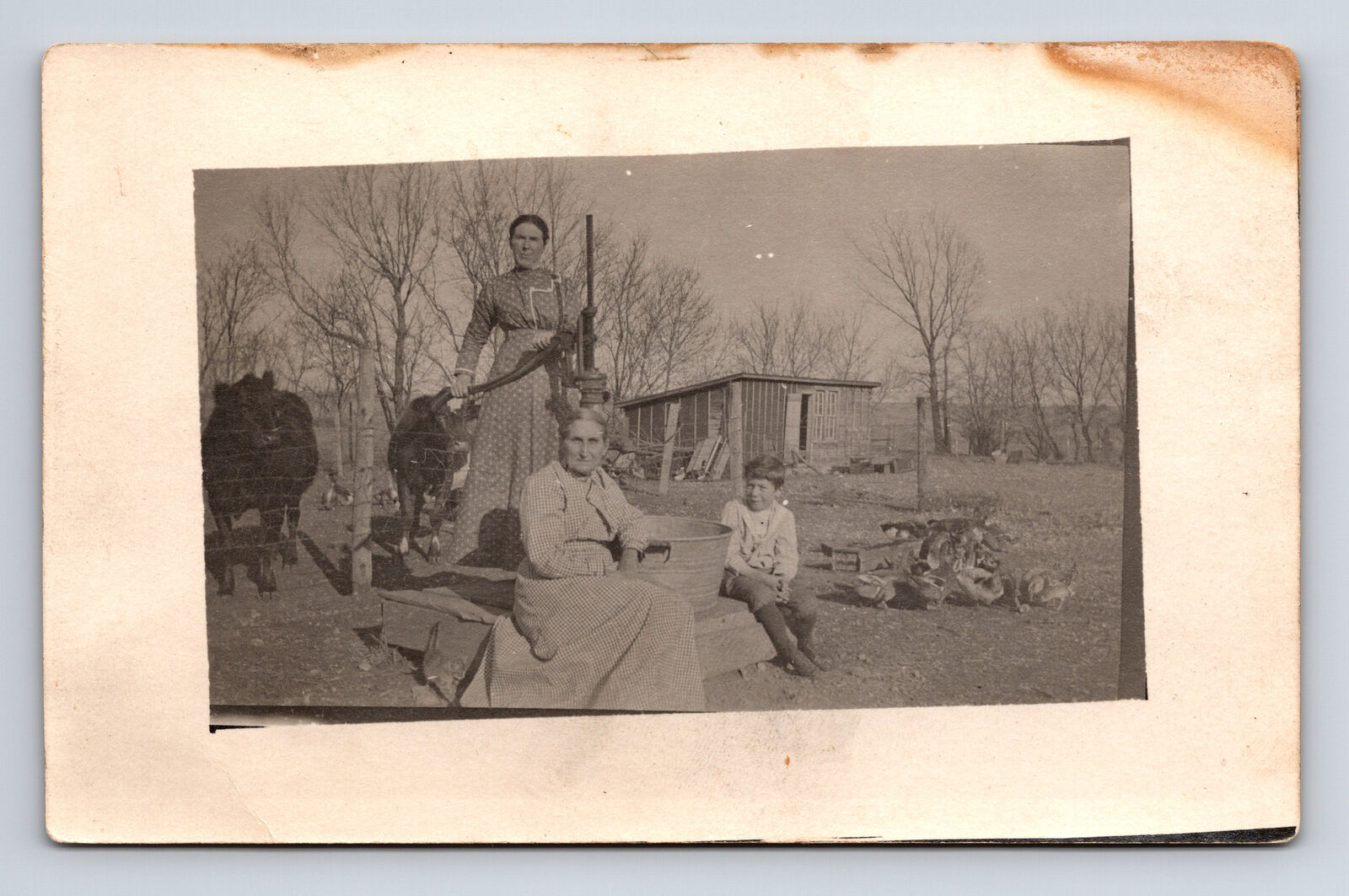 RPPC Grandmother Mother & Son at Farm Cows Hand Water Pump Tyrell Postcard