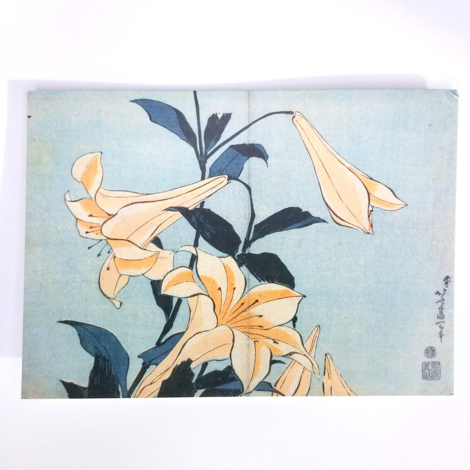 Katsushika Hokusai Japan Lilies Colour Woodblock Print POSTCARD Blue 4 In x6 In