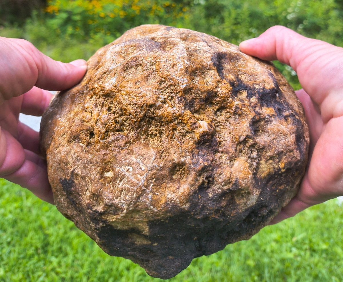 HUGE 10.7 LB Kentucky Geode - Whole Unopened Rare Large KY Crystal Specimen