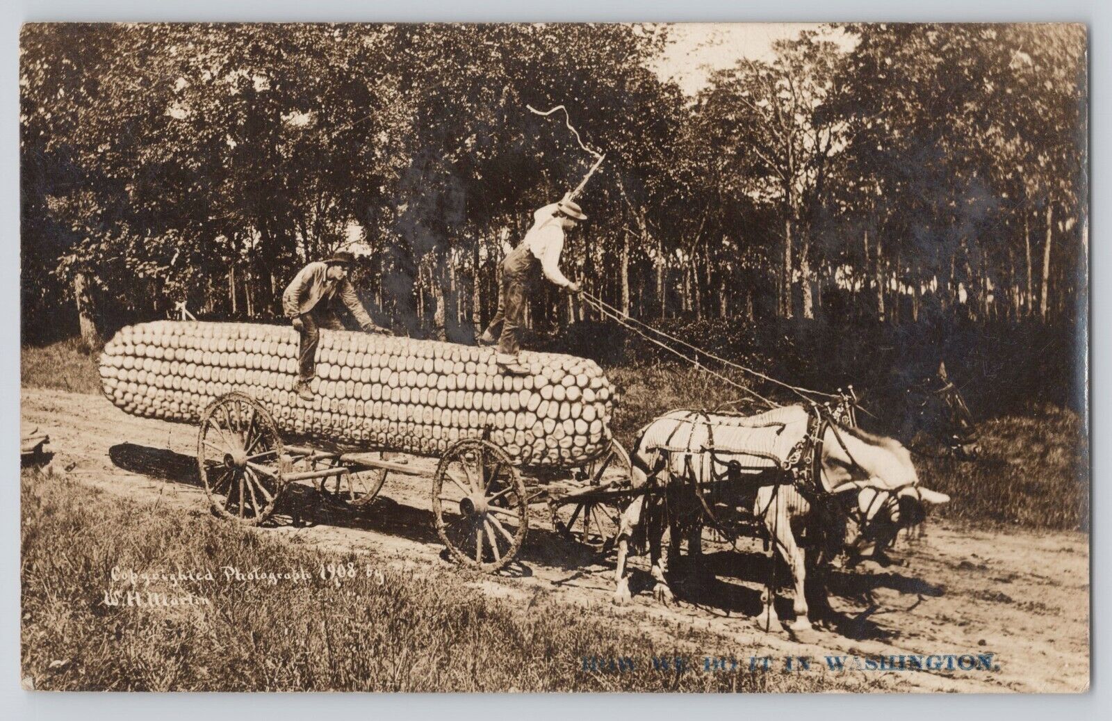 Postcard RPPC Washington Exaggeration Huge Corn Farmer Horse Cart Antique