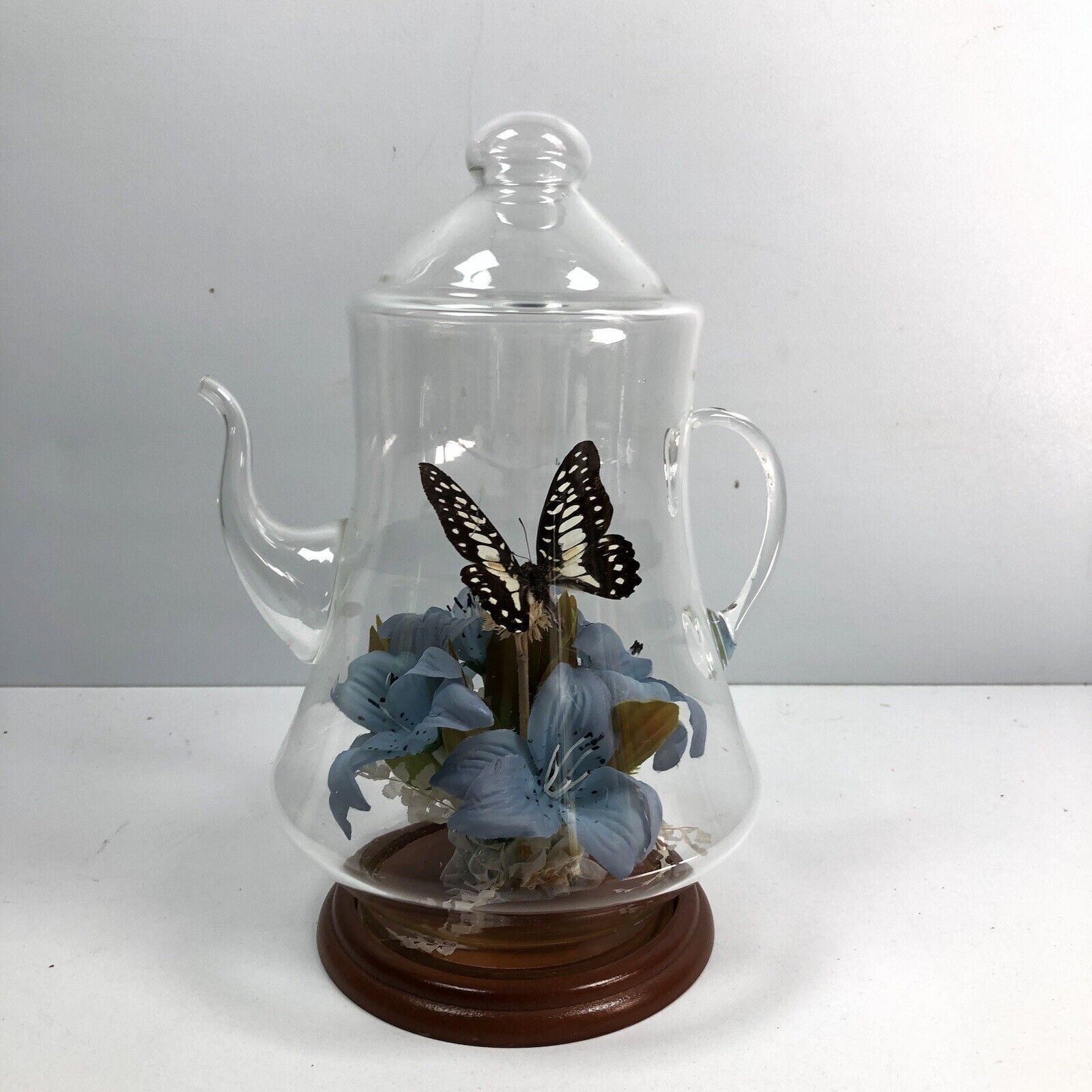 Vintage Real Butterfly Taxidermy Glass Teapot Silk Flowers Display Creco 1970s