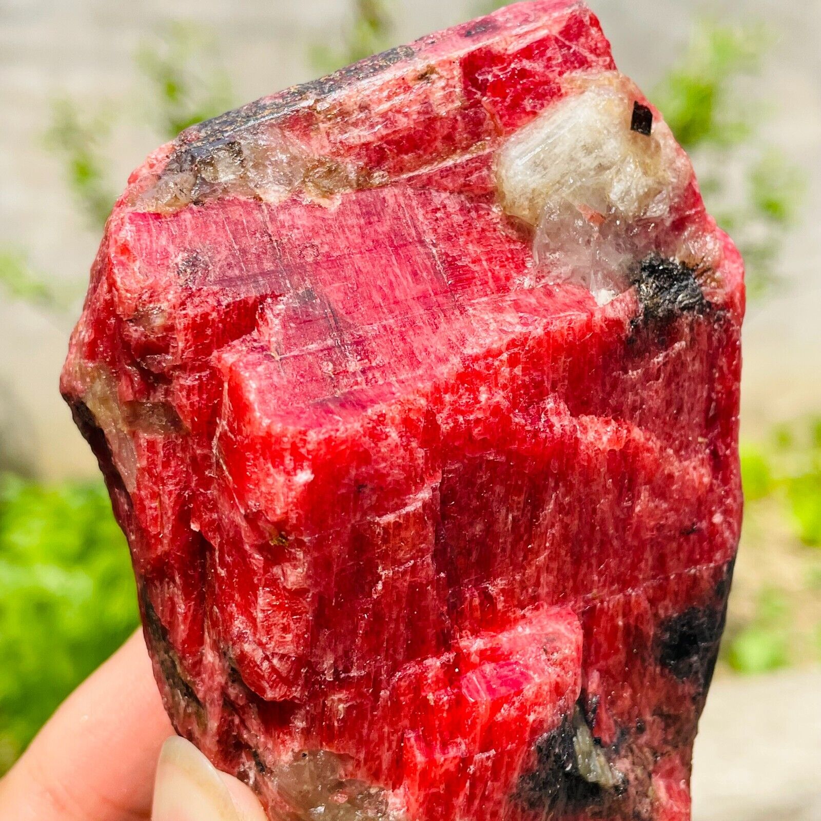 503g Large Natural Pink Red Rhodonite Quartz Crystal Gemstone Rough Specimen