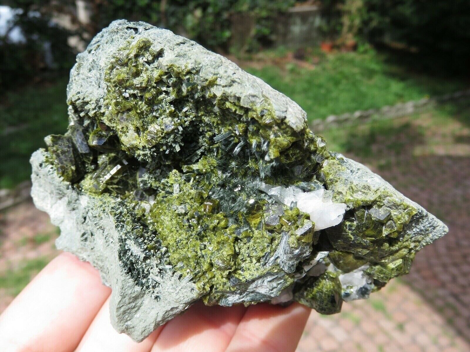 Minerals Epidote With Uralite, Quartz And Actinolite Colorado