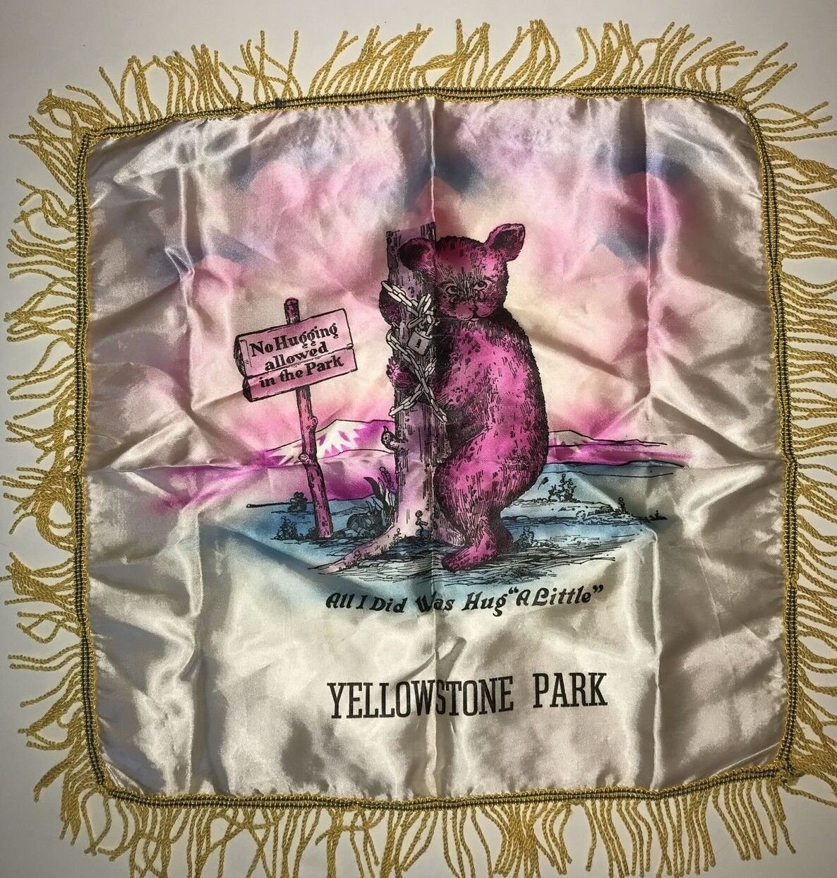 VTG Satin Pillow Cover Sham Fringe Yellowstone Park No Hugging Allowed Bear 15\