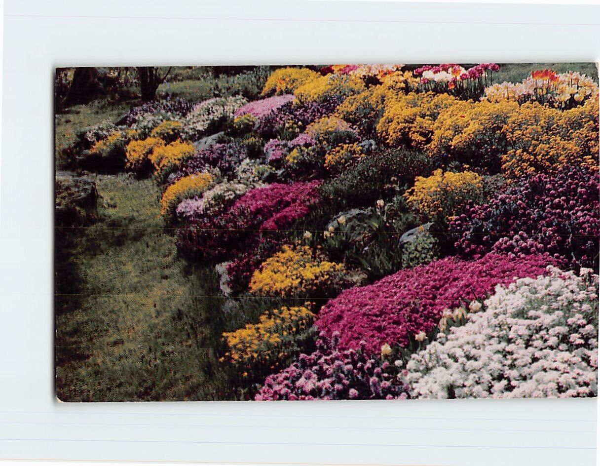 Postcard Rock Garden Greetings from Waseca Minnesota USA North America