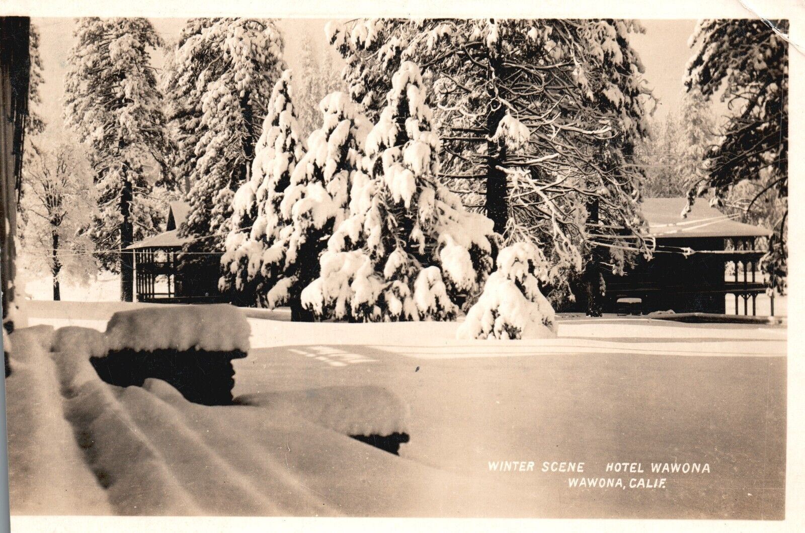Wawona CA-California,1930 Wawona Hotel, Winter Snow Scene, Photo RPPC, Postcard