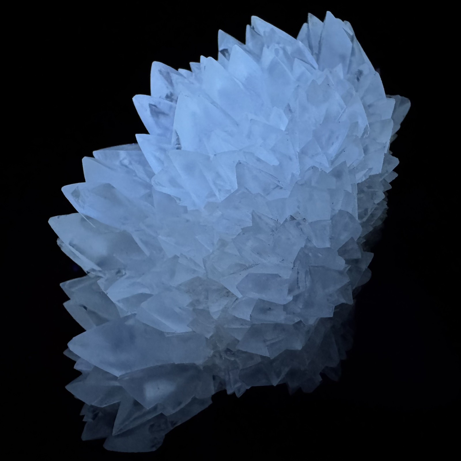 Calcite: Crystal River Quarries - Lecanto Quarry, Citrus County, Florida, USA