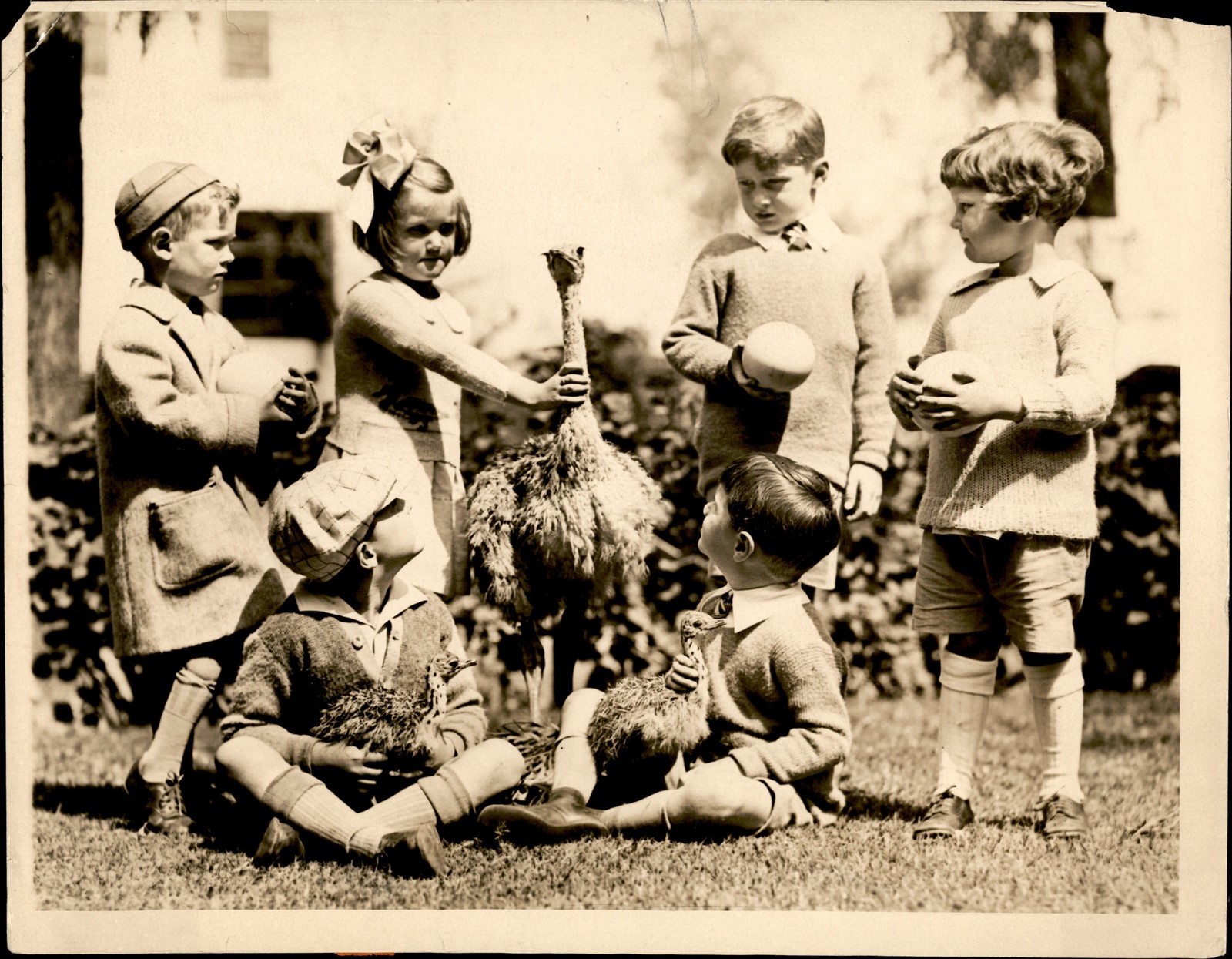 GA289 1926 Orig Underwood Photo 1ST OSTRICH CHICKS OF SPRING CAWSON OSTRICH FARM