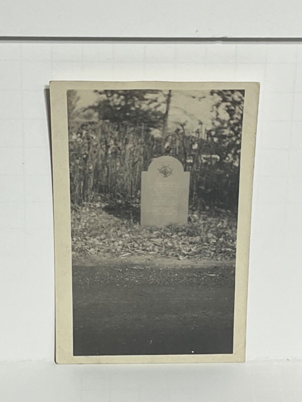 Postcard RPPC Grave Cemetery Headstone A65