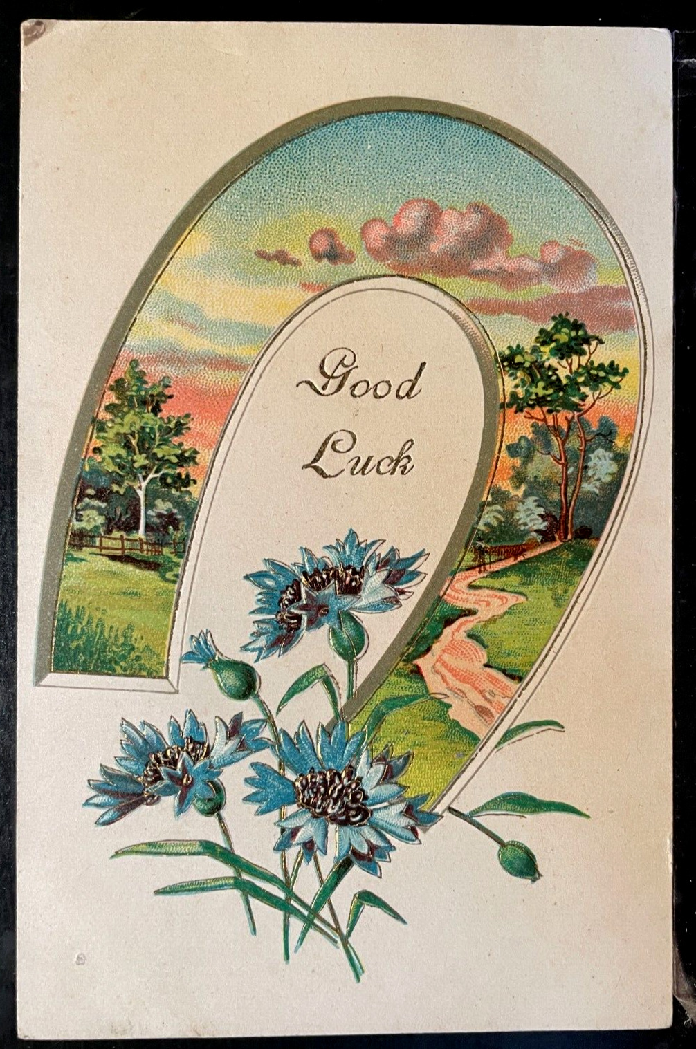 Vintage Victorian Postcard 1910 Good Luck - Horse Shoe with Flowers