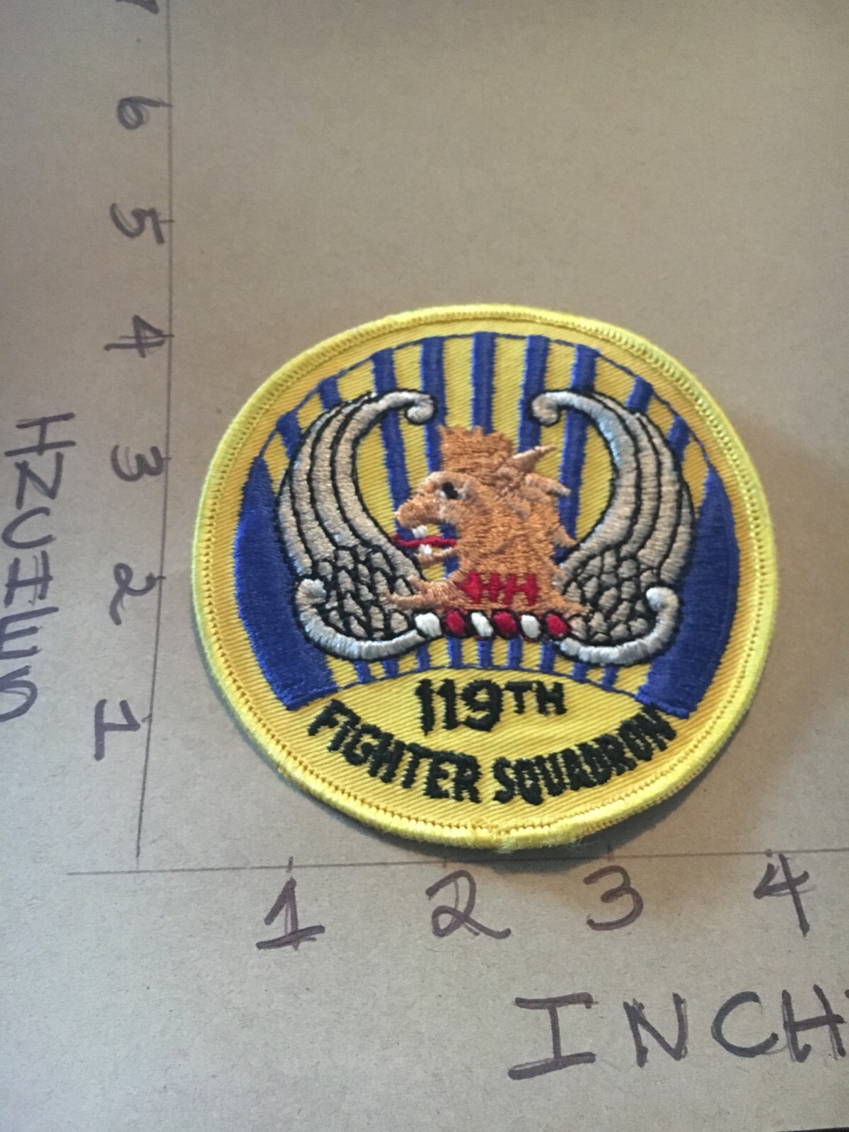 USAF 119th Fighter Squadron patch 4/22/25