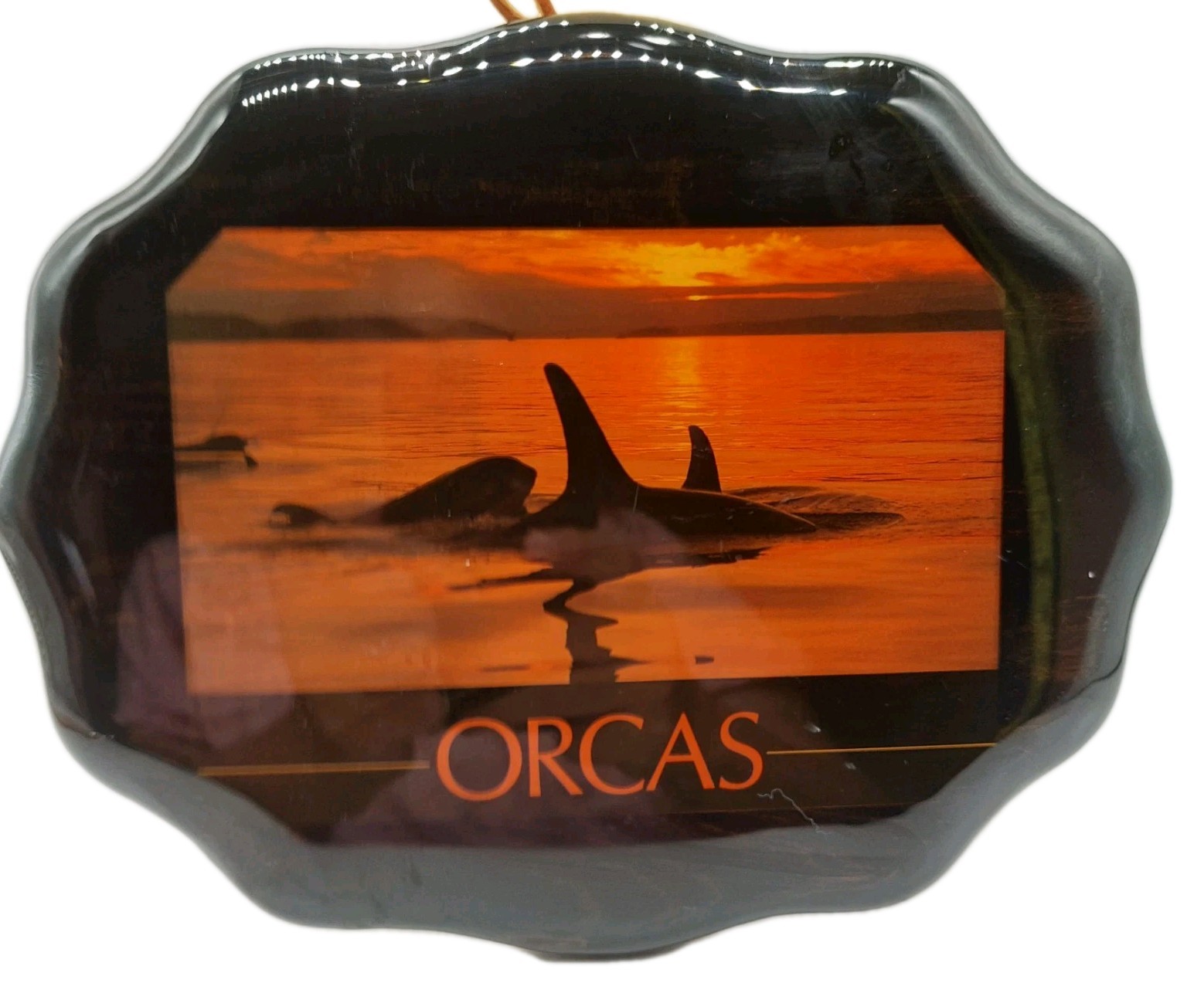 Orca Whale Picture Wood Art Vintage Wall Hanging 7x9 Dencraft Read