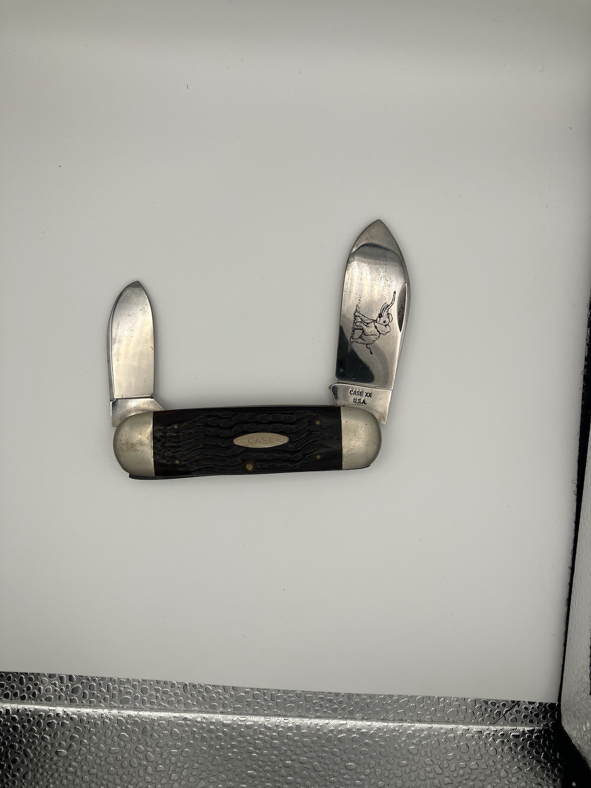 1976 Case XX USA 6250 4 Dot Elephant Toe Sunfish Knife Elephant Etch Vintage 1976 Case XX USA 6250 4 Dot Elephant Toe Sunfish Knife Elephant Etch Vintage