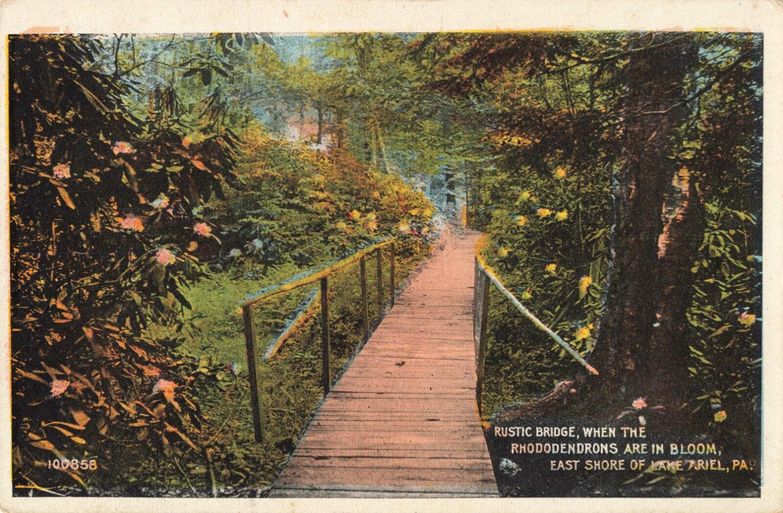 Rustic Bridge Rhododendrons East Shore Lake Ariel Pennsylvania c1920 Postcard
