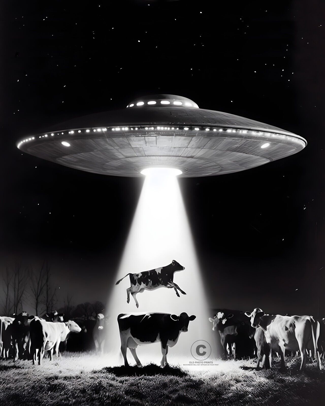 Nebraska Cattle Incident UFO 1974 Photo Flying Saucer Aliens Involvement 8X10
