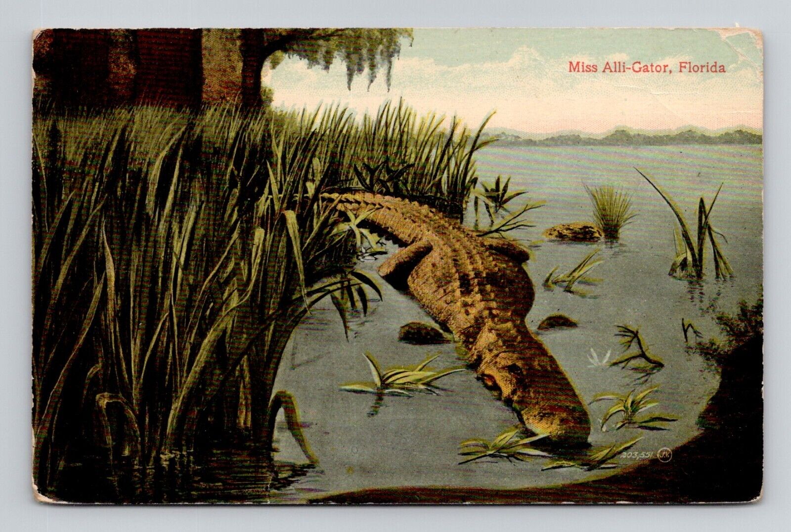 Postcard Florida Alligator Wordplay Miss Alli-Gator FL, Antique N14