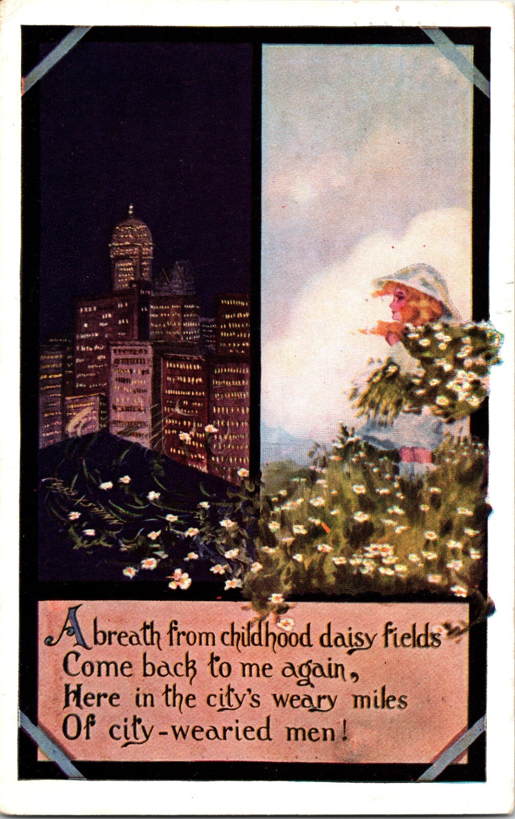 Vintage Postcard A Breath From Childhood Daisy Fields C. W. P.  1910