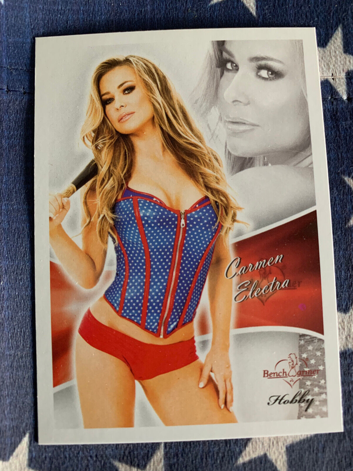 2013 Benchwarmer Series Cards Complete Your Set U PICK WWE, PLAYBOY & MORE
