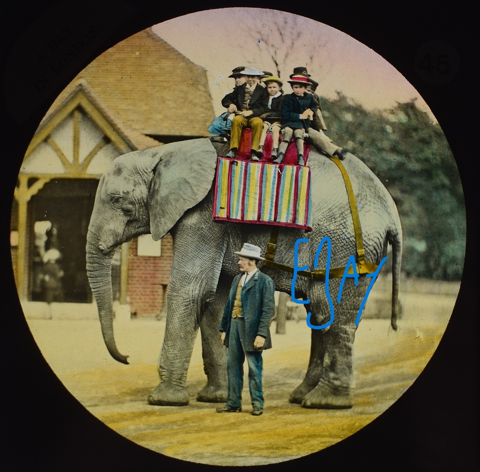 Photo JUMBO THE ELEPHANT LONDON ZOO C1875 Magic Lantern Slide P T BARNUM CIRCUS