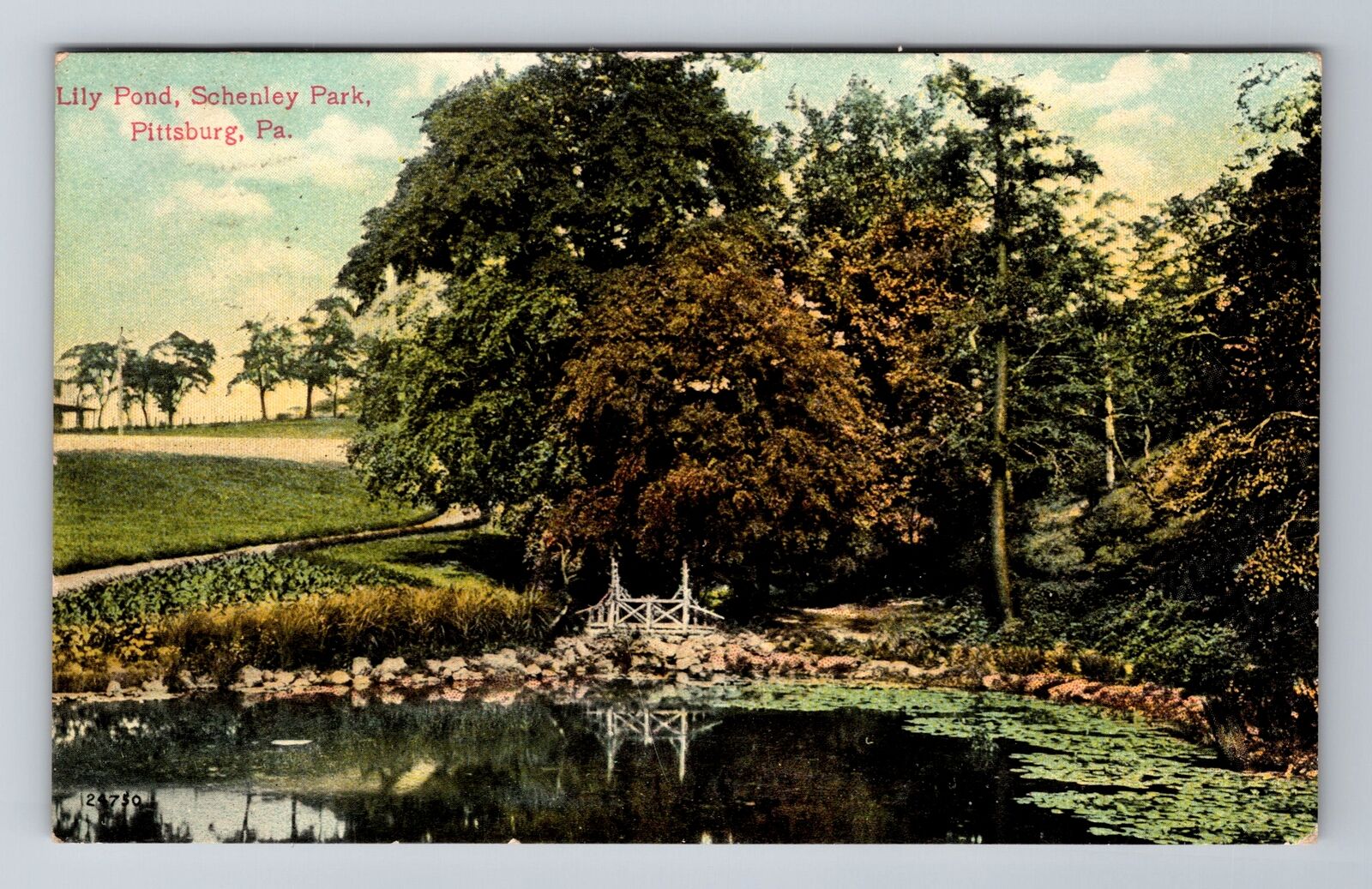 Pittsburgh PA-Pennsylvania, Lily Pond Schenley Park, Vintage c1910 Postcard