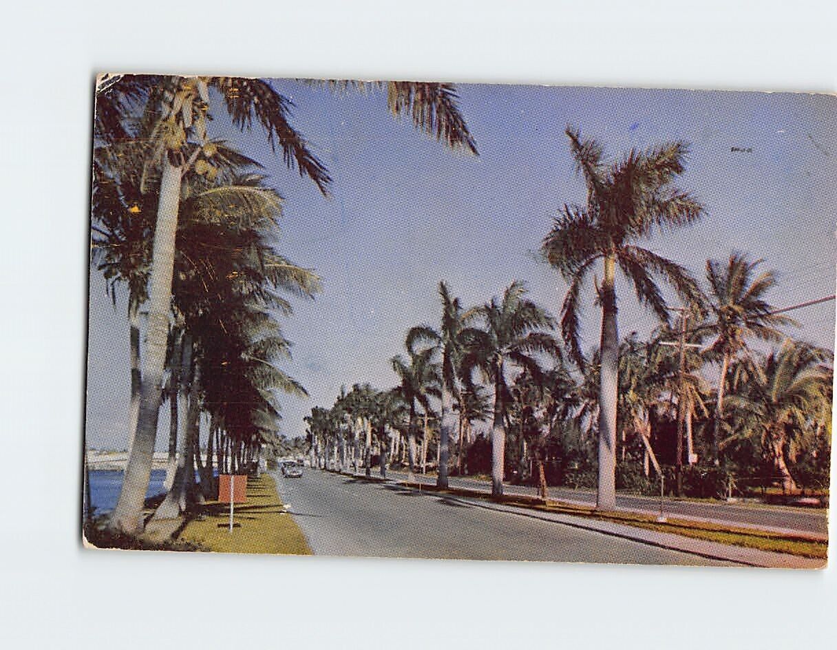 Postcard Las Olas Boulevard Fort Lauderdale Florida USA