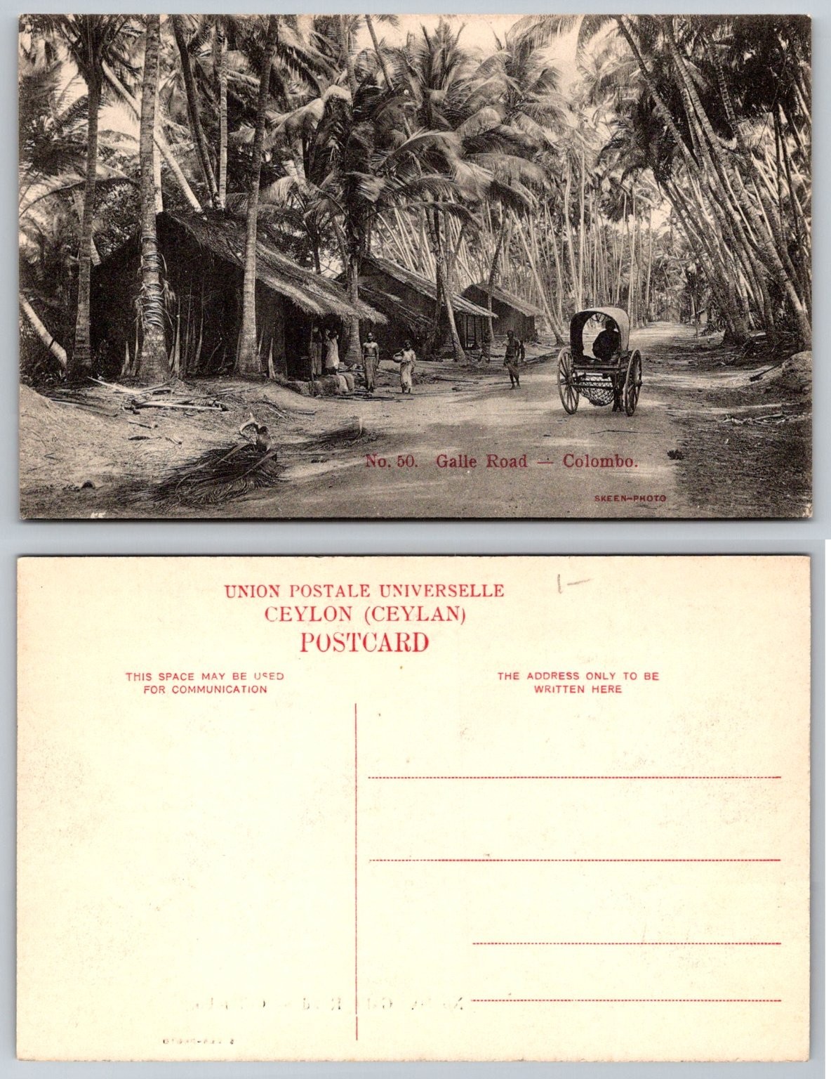 Galle Road Colombo Ceylon RPPC Vintage SKEES-PHOTO Palm Trees Cart Galle Road Colombo Ceylon RPPC Vintage SKEES-PHOTO Palm Trees Cart
