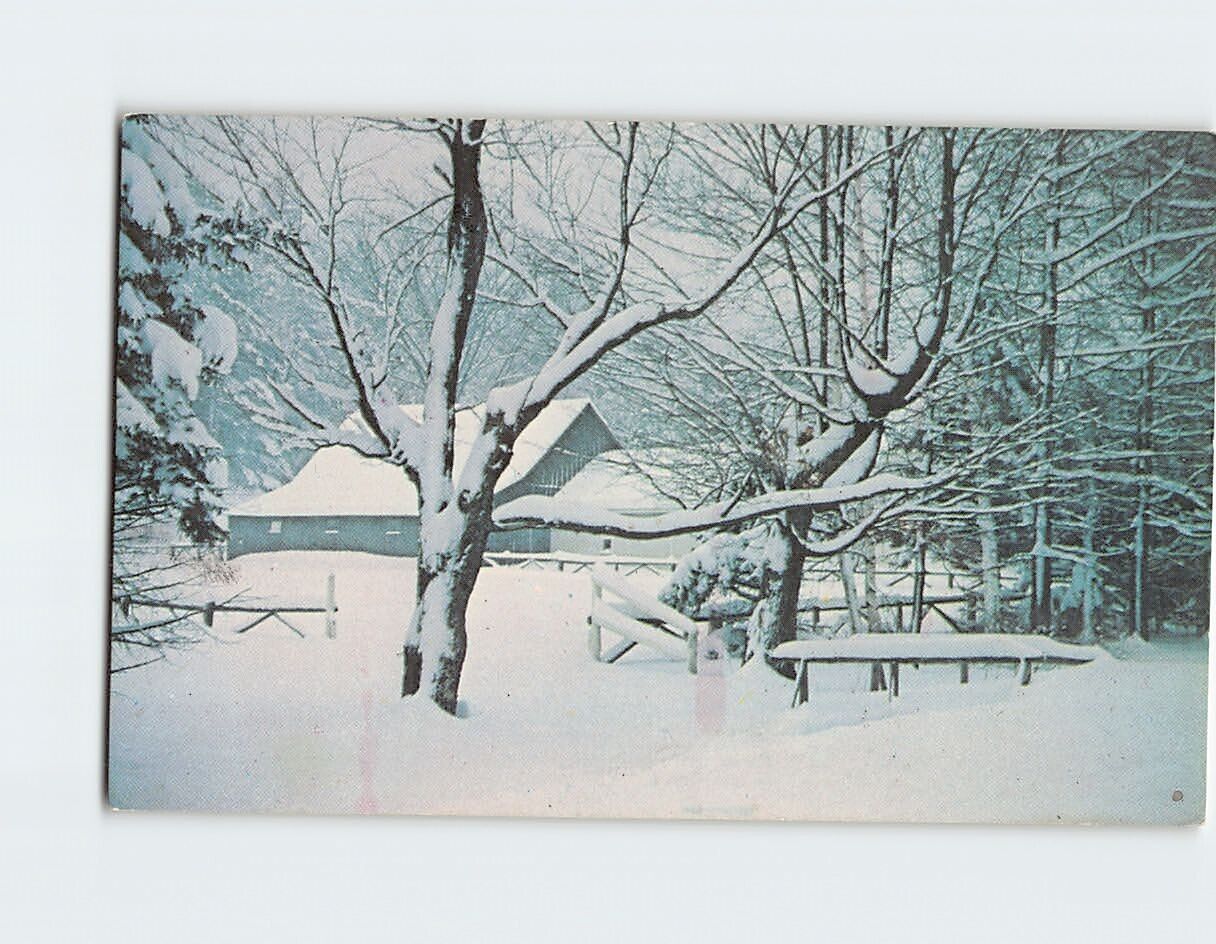 Postcard Winter Scene