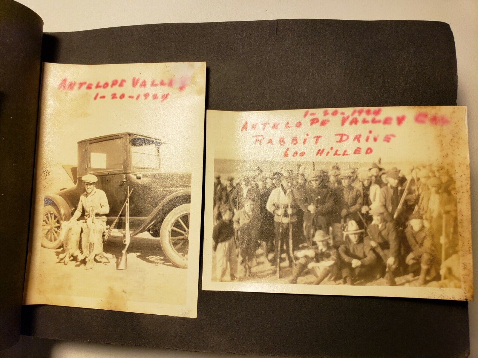 1920's GLENDALE PHOTO ALBUM ROSE PARADE, OUTDOORS, FIRES, RABBIT DRIVE, BEACH