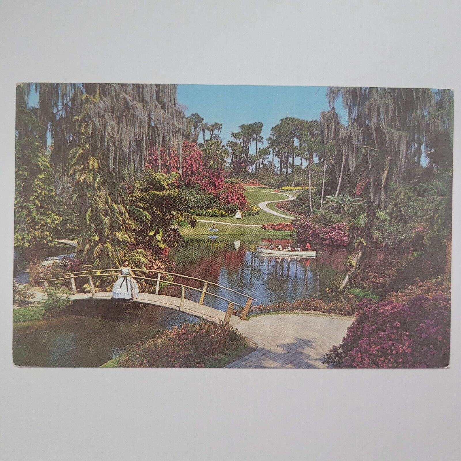 Cypress Gardens FL Florida Tropical Vegetation Palms Vintage Chrome Postcard