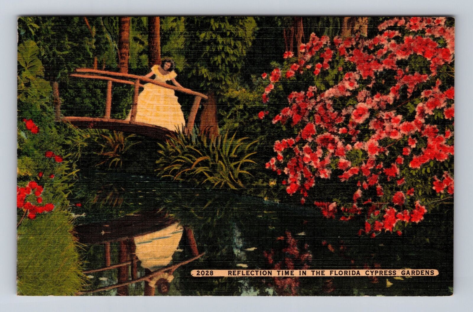 Cypress Gardens FL- Florida, Reflection Time, Antique, Vintage Souvenir Postcard