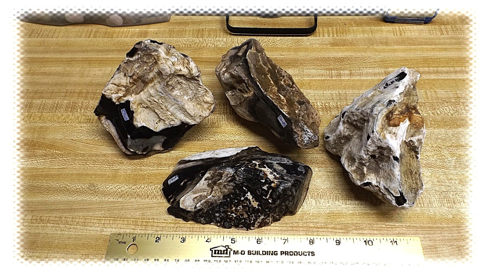 5 LB LOT 4 PIECES NATURAL BLACK PETRIFIED WOOD ETHIOPIAN -- MILLIONS YEARS OLD 5 LB LOT 4 PIECES NATURAL BLACK PETRIFIED WOOD ETHIOPIAN -- MILLIONS YEARS OLD