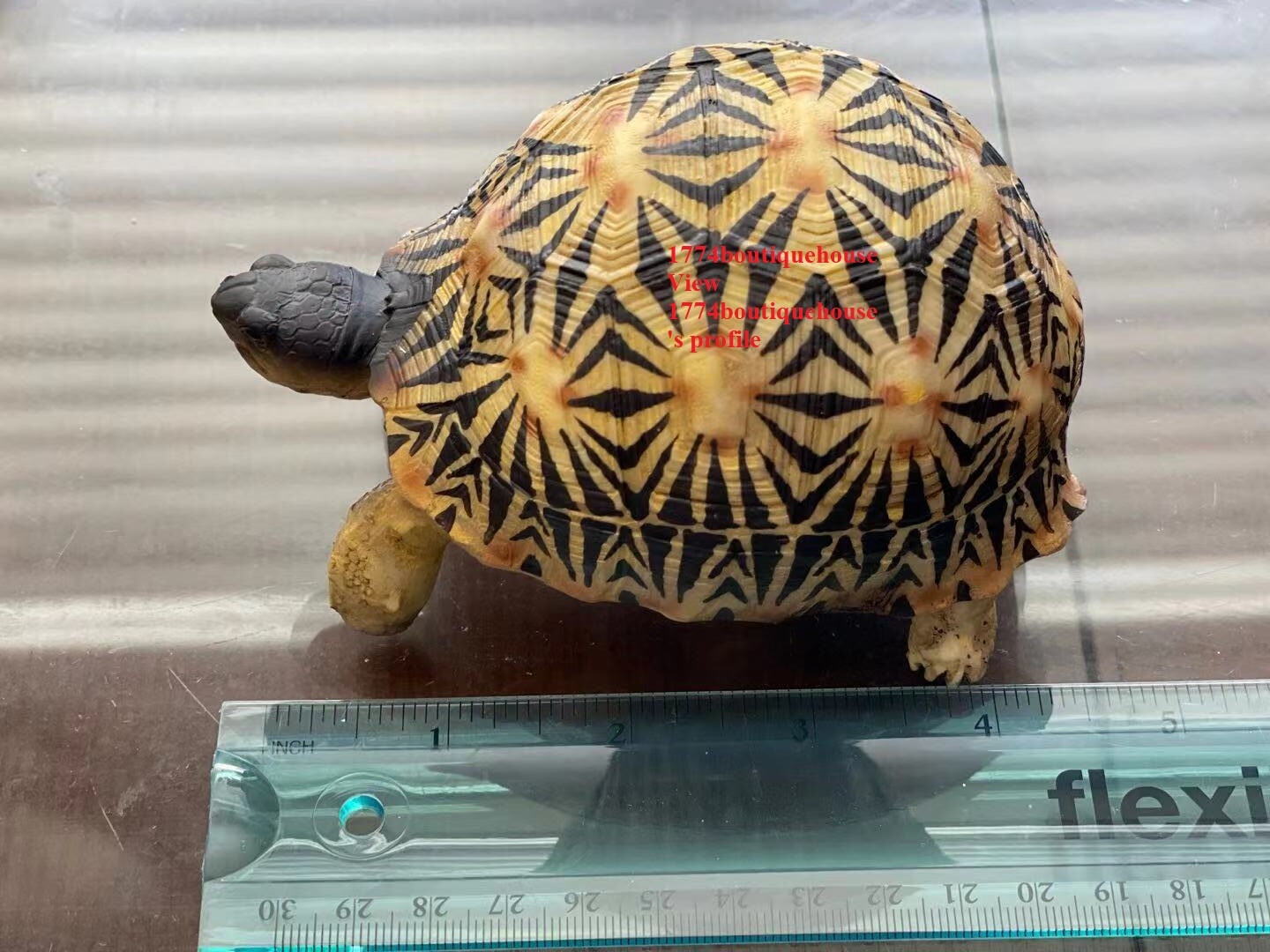 Lifelike Very Cute Radiated Tortoise Statue Reptile resin Figure Decor 5 inch Lifelike Very Cute Radiated Tortoise Statue Reptile resin Figure Decor 5 inch