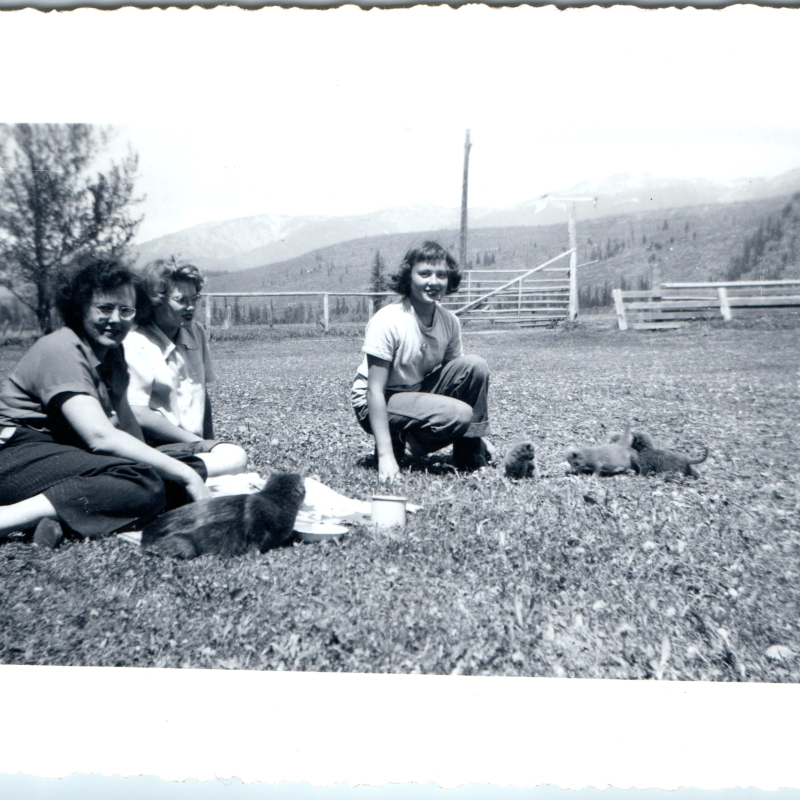1946 Cute Kittens Cat Snapshot Photo Women Girl Mountain Western Ranch Pets Vtg