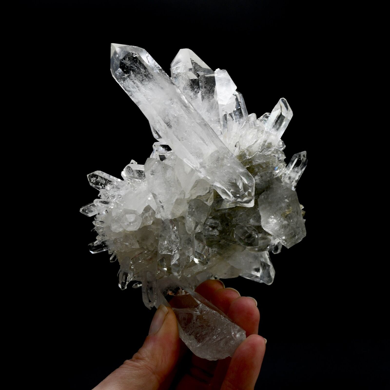 5.9in 1.3lb Cosmic Starburst Record Keeper Lemurian Silver Quartz Chlorite Cryst