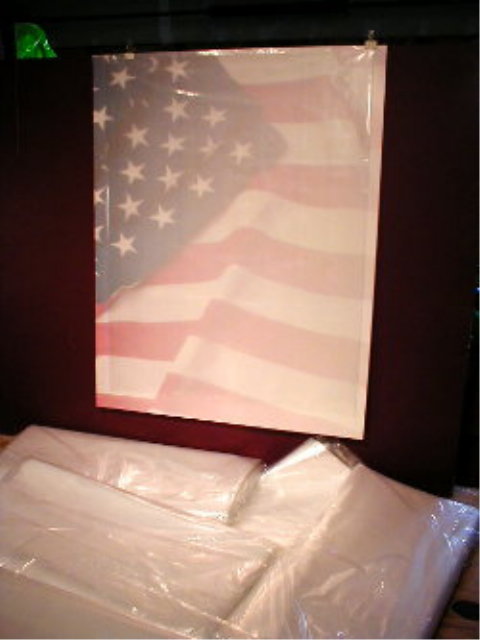 Plastic Bags for Old Brochures,Pamphlets,Maps Storage Sleeves 4 Plastic Bags for Old Brochures,Pamphlets,Maps Storage Sleeves 4