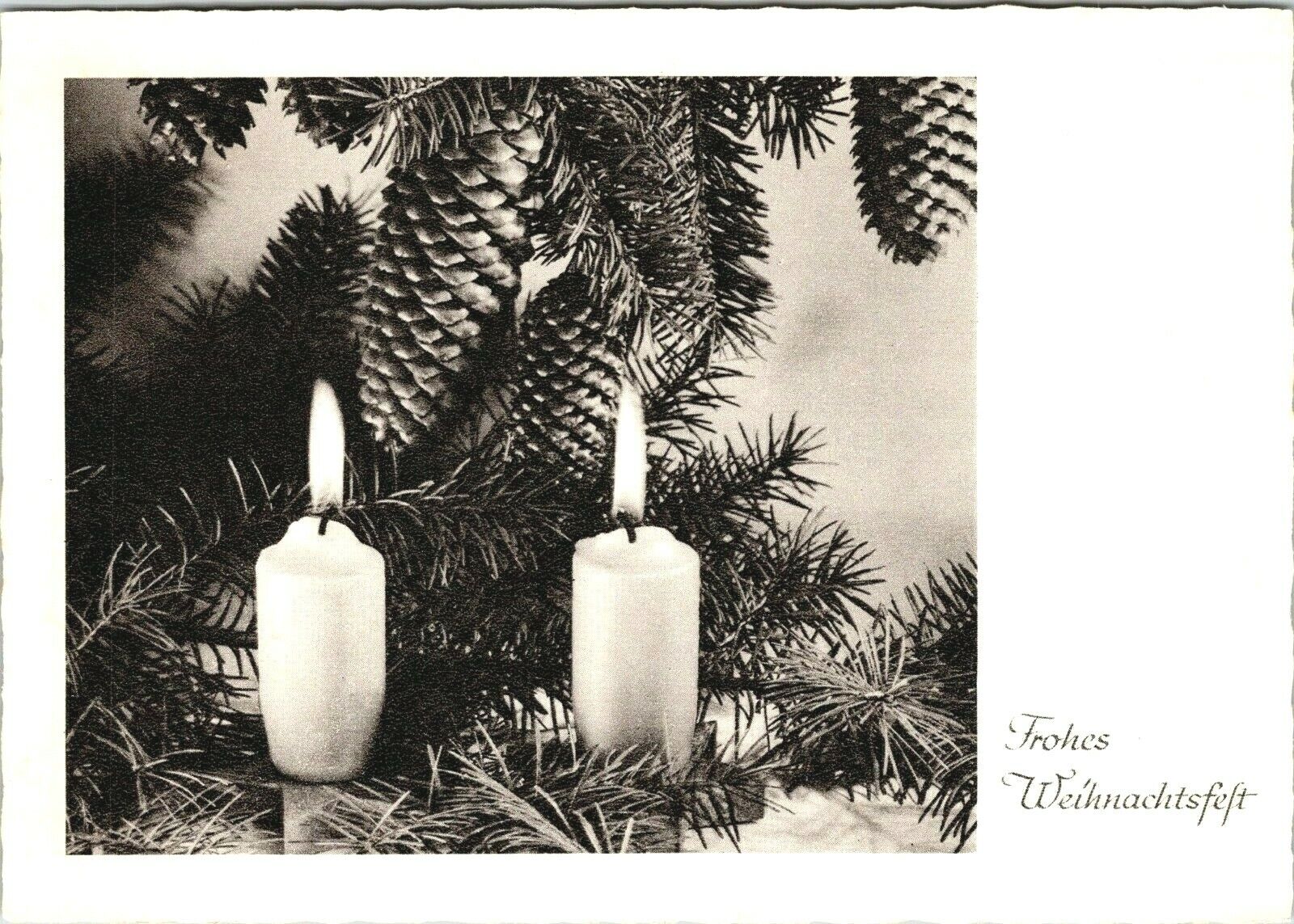 Vtg German Postcard Frohes Weihnachtsfelt (Merry Christmas) candles pinecone  