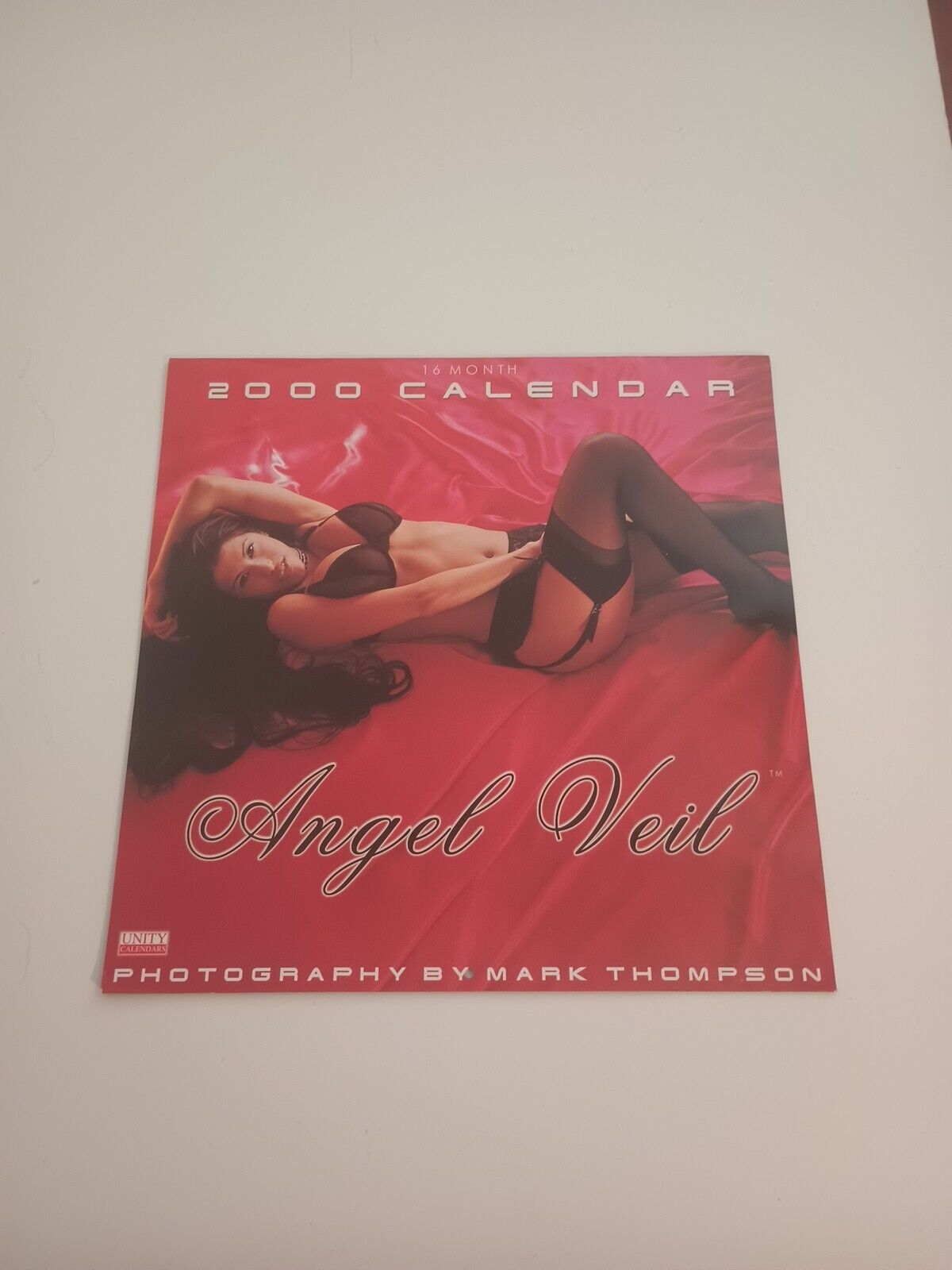 Angel Veil 2000 Wall Calendar 16 Month Sexy Adult Man Cave Unity Mark Thompson 