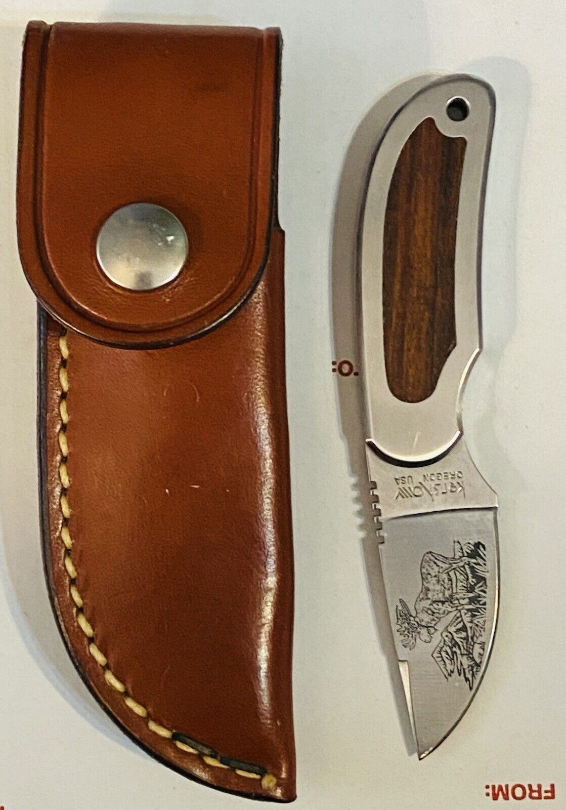 NEW Kershaw Kai 2220 LIL SKINNER Japan Knife w/ Sheath