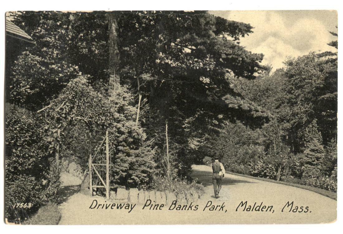 Postcard Driveway Pine Banks Park Malden MA 