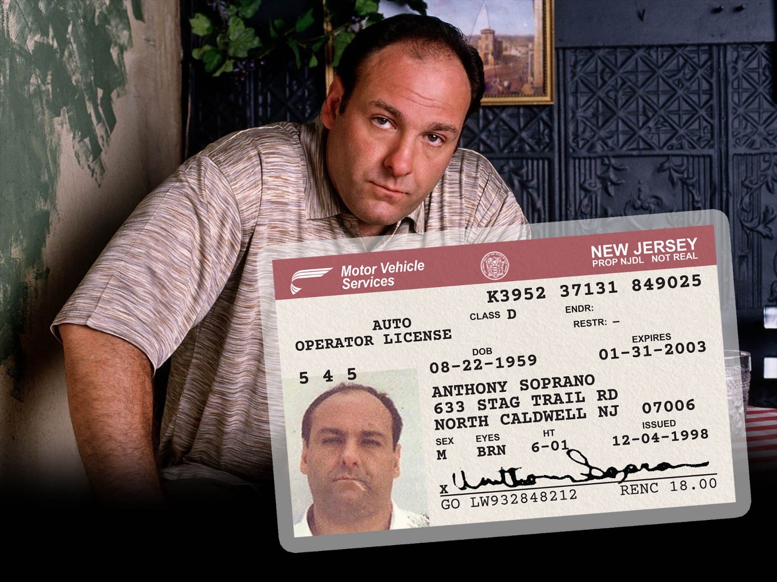 TONY SOPRANO ID CARD - Sopranos New Jersey NJ Drivers License - James Gandolfini