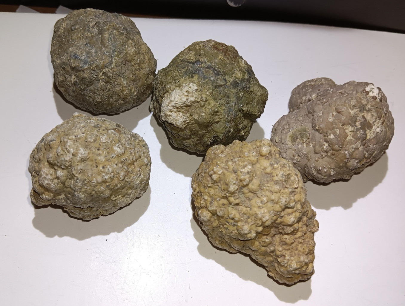 (Each 1-lb LOT) = 3 to 5 Whole Oregon Thundereggs Rough Rocks Lapidary Old Stock