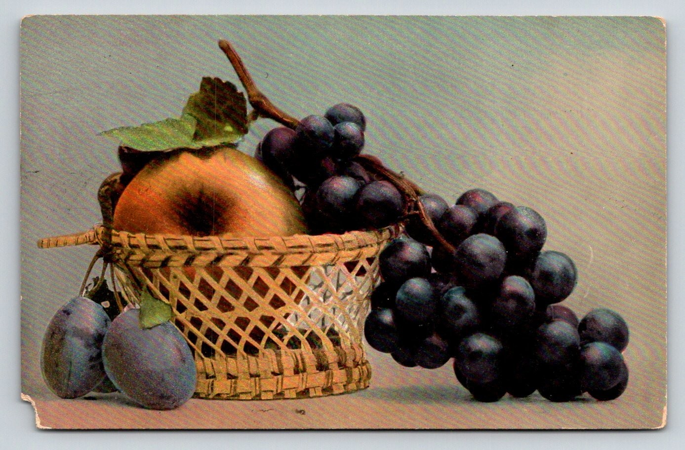 Vintage Lottie Saxony Still Life Postcard c1908 - Grapes Plums Basket Fruit