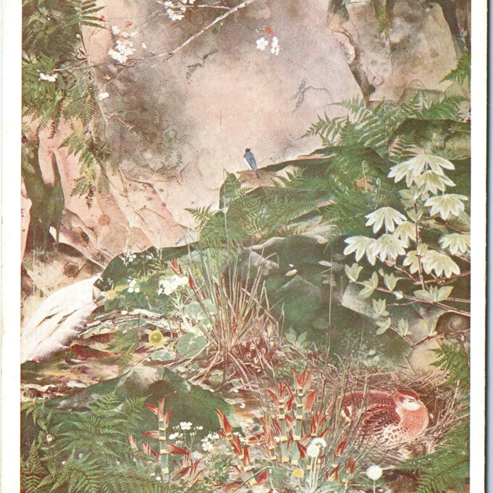 c1940s Japan Nature Painting Hideho Ishikawa Postcard 14th Imperial Art Expo A59