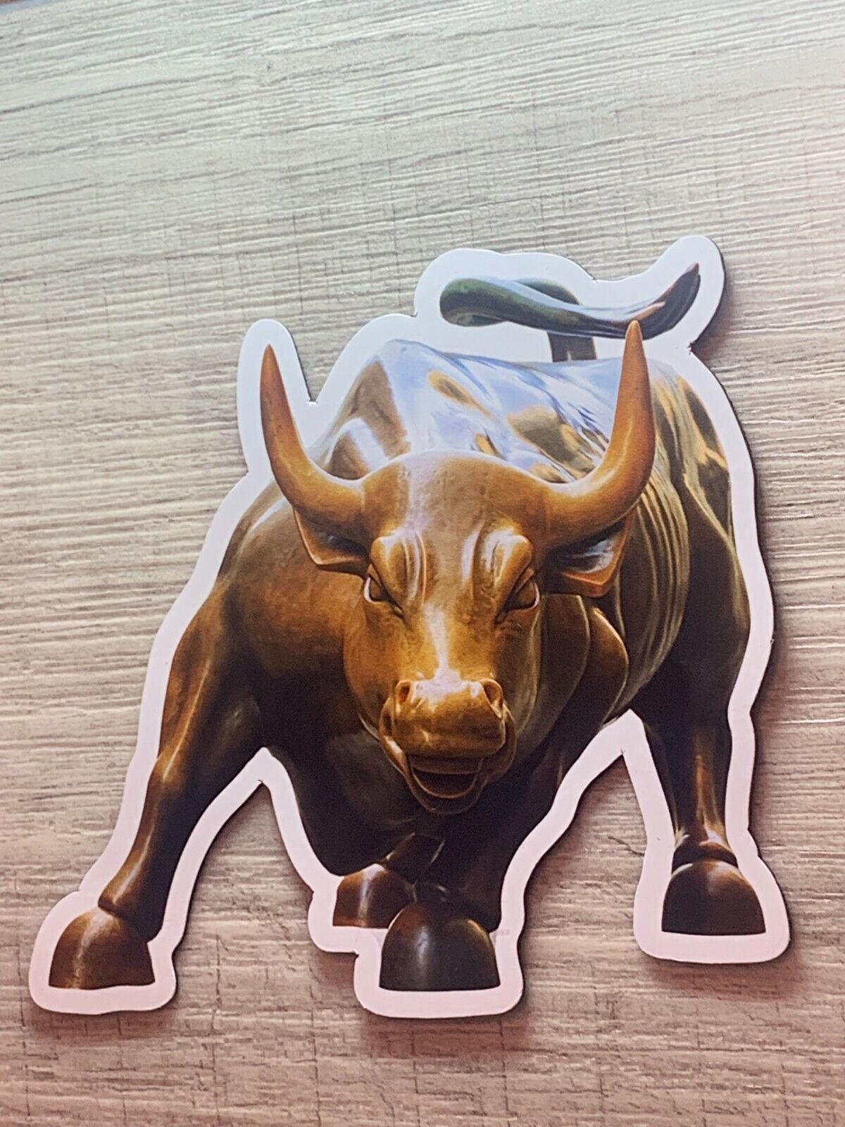 New York Wall Street Bull Refrigerator Magnet Travel Souvenir 