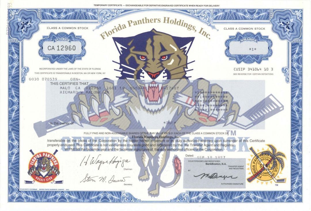 Florida Panthers Holdings, Inc. - Ice Hockey Team Stock Certificate - Sports Sto