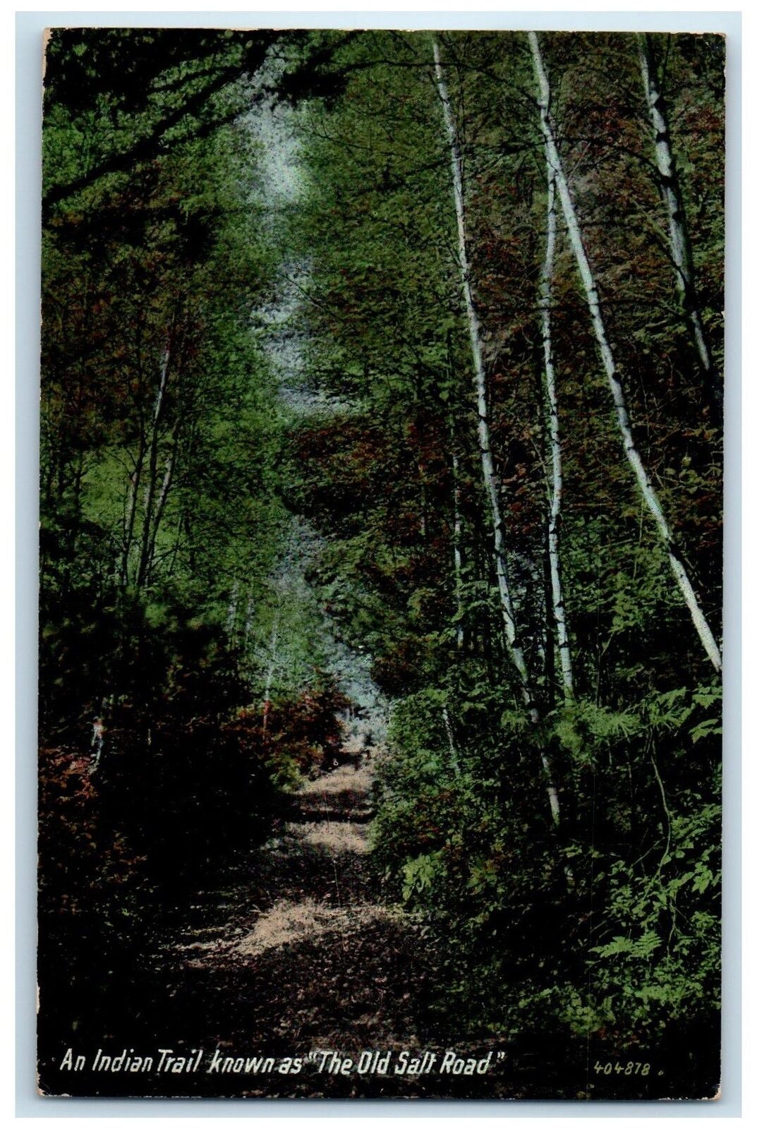 1911 An Indian Trail Known As The Old Salt Road Old Orchard Maine ME Postcard