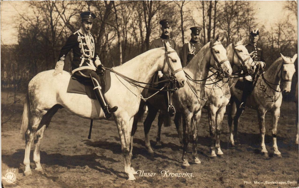 Old postcard Our Crown Prince German Royalty (701747) Old postcard Our Crown Prince German Royalty (701747)