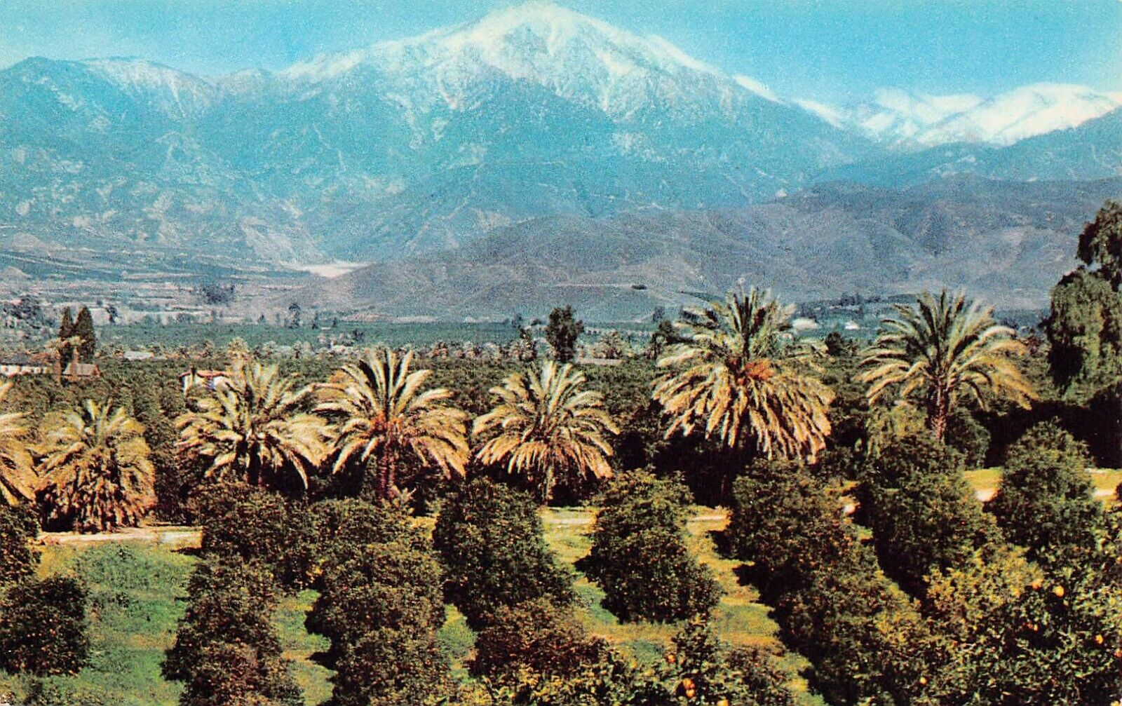 Hollywood Pasadena Glendale CA California Orange Grove Farm Vtg Postcard A12