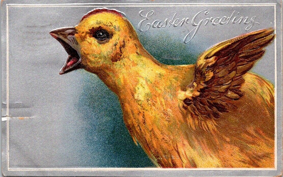 Bradford PA Pennsylvania 1908 Easter Greetings Chick Embossed Vintage Postcard